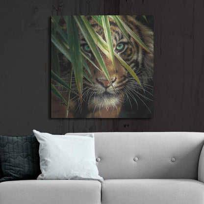 Luxe Metal Art 'Tiger Eyes' by Collin Bogle, Metal Wall Art,36x36