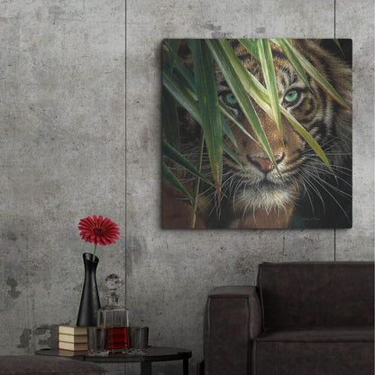 Luxe Metal Art 'Tiger Eyes' by Collin Bogle, Metal Wall Art,36x36