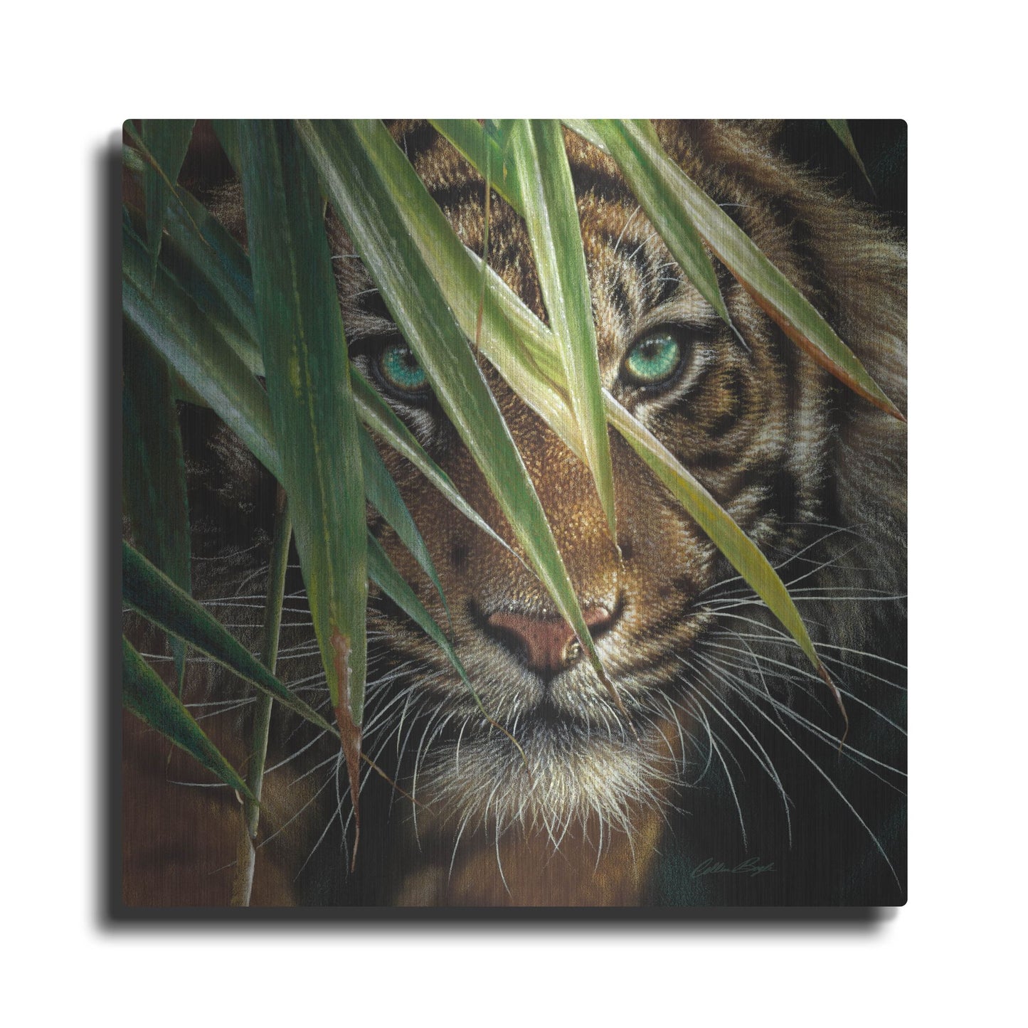 Luxe Metal Art 'Tiger Eyes' by Collin Bogle, Metal Wall Art