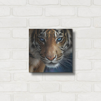 Luxe Metal Art 'Blue Eyes' by Collin Bogle, Metal Wall Art,12x12