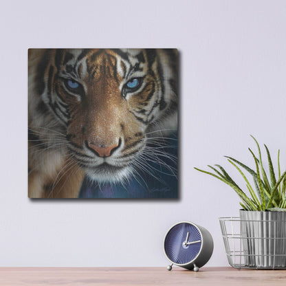 Luxe Metal Art 'Blue Eyes' by Collin Bogle, Metal Wall Art,12x12