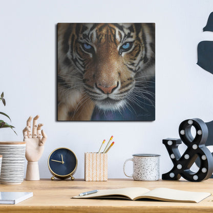 Luxe Metal Art 'Blue Eyes' by Collin Bogle, Metal Wall Art,12x12