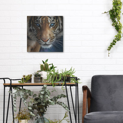 Luxe Metal Art 'Blue Eyes' by Collin Bogle, Metal Wall Art,12x12