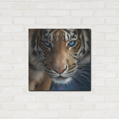 Luxe Metal Art 'Blue Eyes' by Collin Bogle, Metal Wall Art,24x24