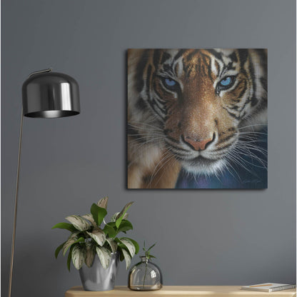 Luxe Metal Art 'Blue Eyes' by Collin Bogle, Metal Wall Art,24x24