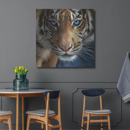 Luxe Metal Art 'Blue Eyes' by Collin Bogle, Metal Wall Art,36x36