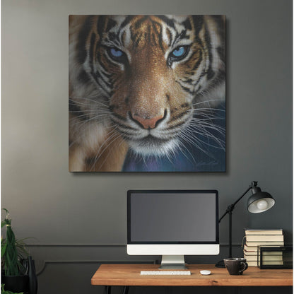 Luxe Metal Art 'Blue Eyes' by Collin Bogle, Metal Wall Art,36x36
