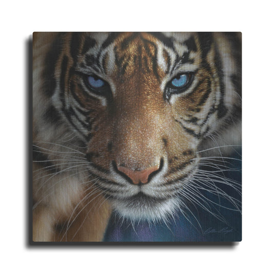 Luxe Metal Art 'Blue Eyes' by Collin Bogle, Metal Wall Art