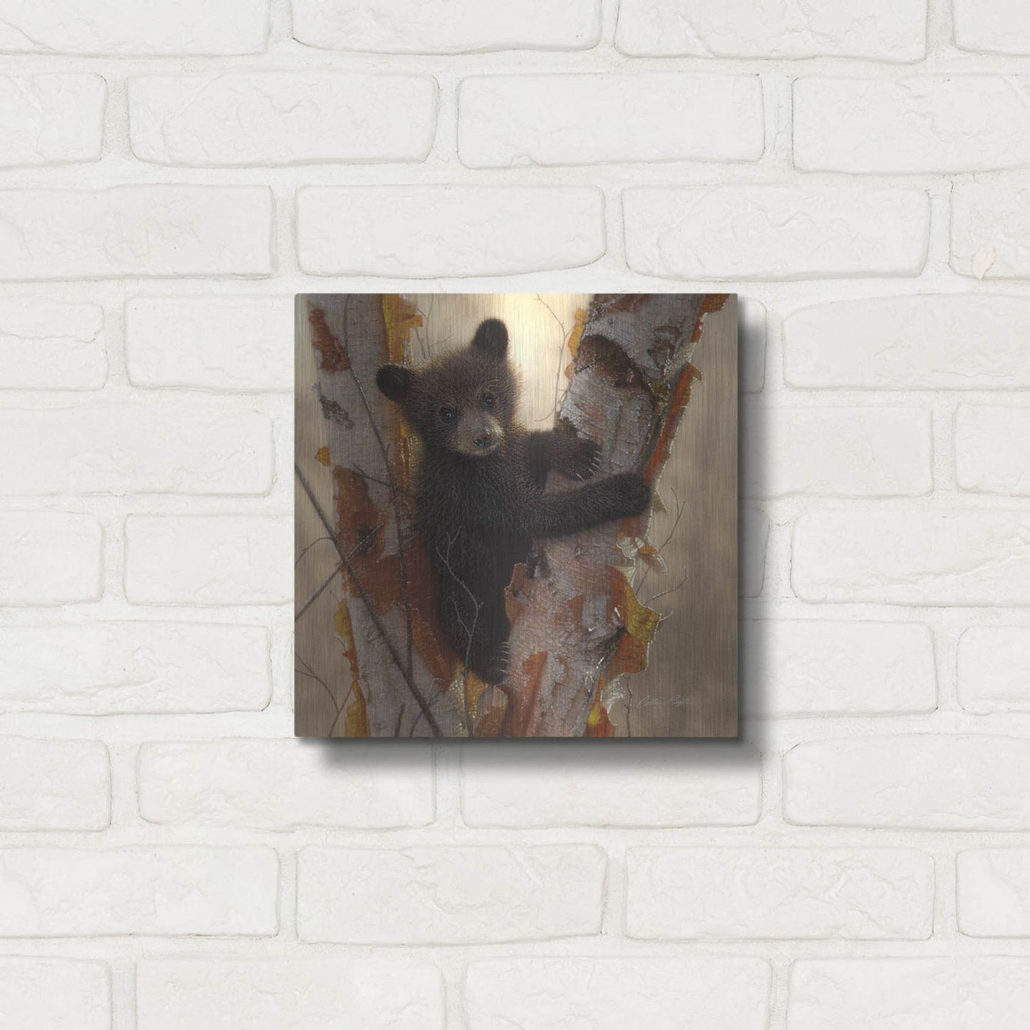 Luxe Metal Art 'Curious Cub I' by Collin Bogle, Metal Wall Art,12x12