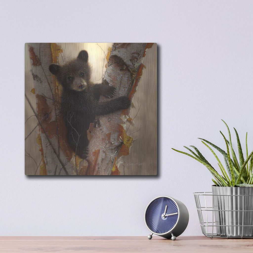 Luxe Metal Art 'Curious Cub I' by Collin Bogle, Metal Wall Art,12x12