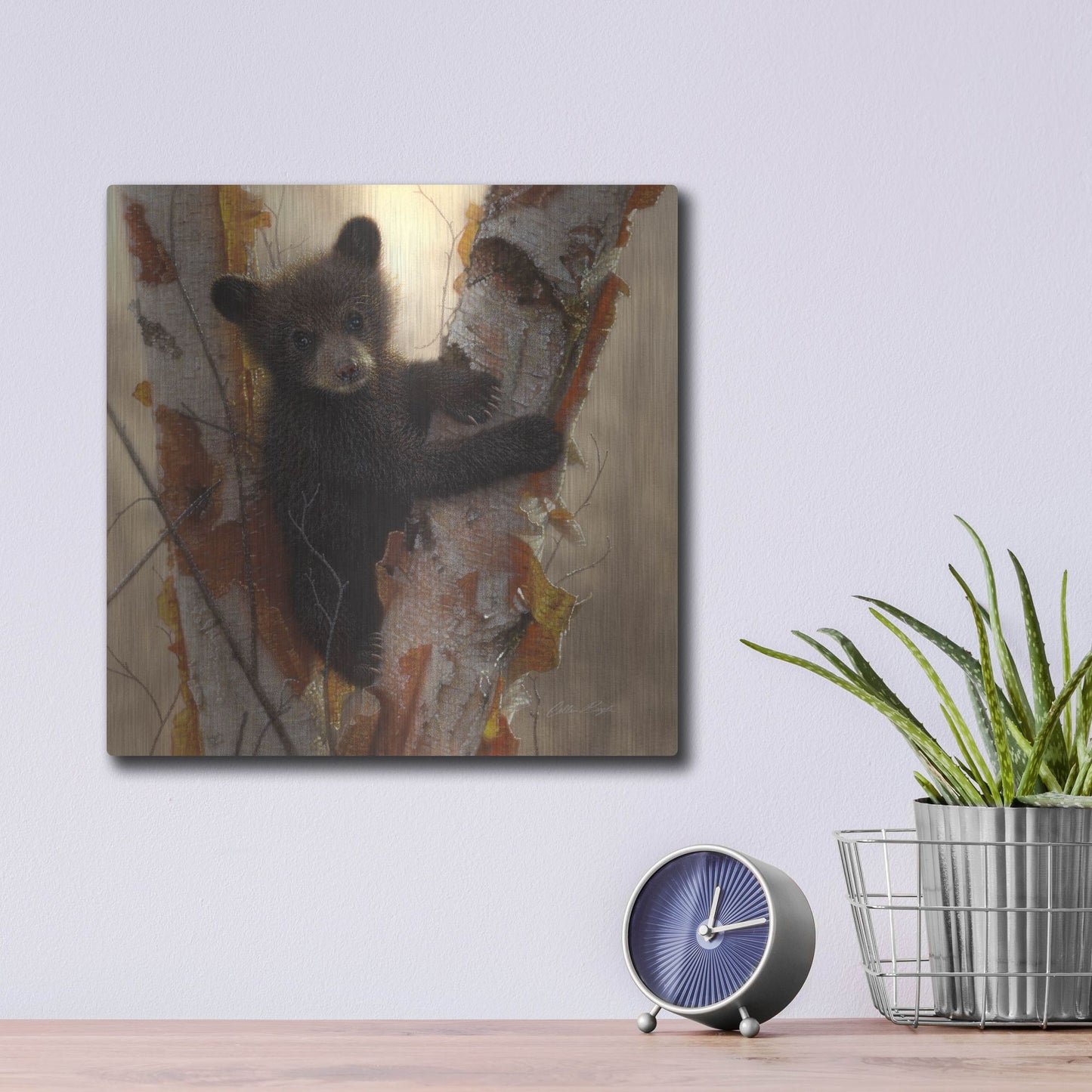 Luxe Metal Art 'Curious Cub I' by Collin Bogle, Metal Wall Art,12x12