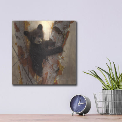 Luxe Metal Art 'Curious Cub I' by Collin Bogle, Metal Wall Art,12x12
