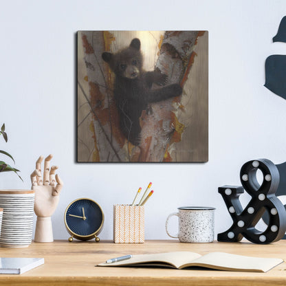 Luxe Metal Art 'Curious Cub I' by Collin Bogle, Metal Wall Art,12x12