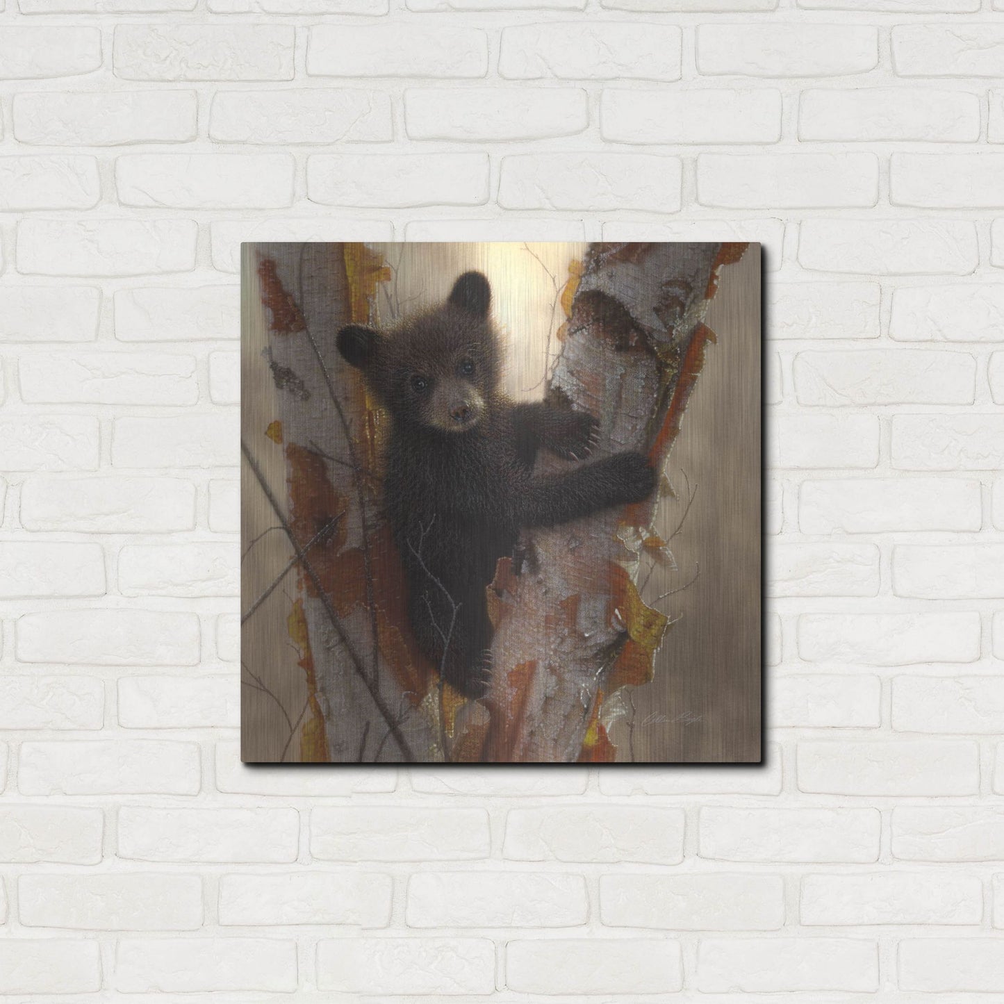 Luxe Metal Art 'Curious Cub I' by Collin Bogle, Metal Wall Art,24x24