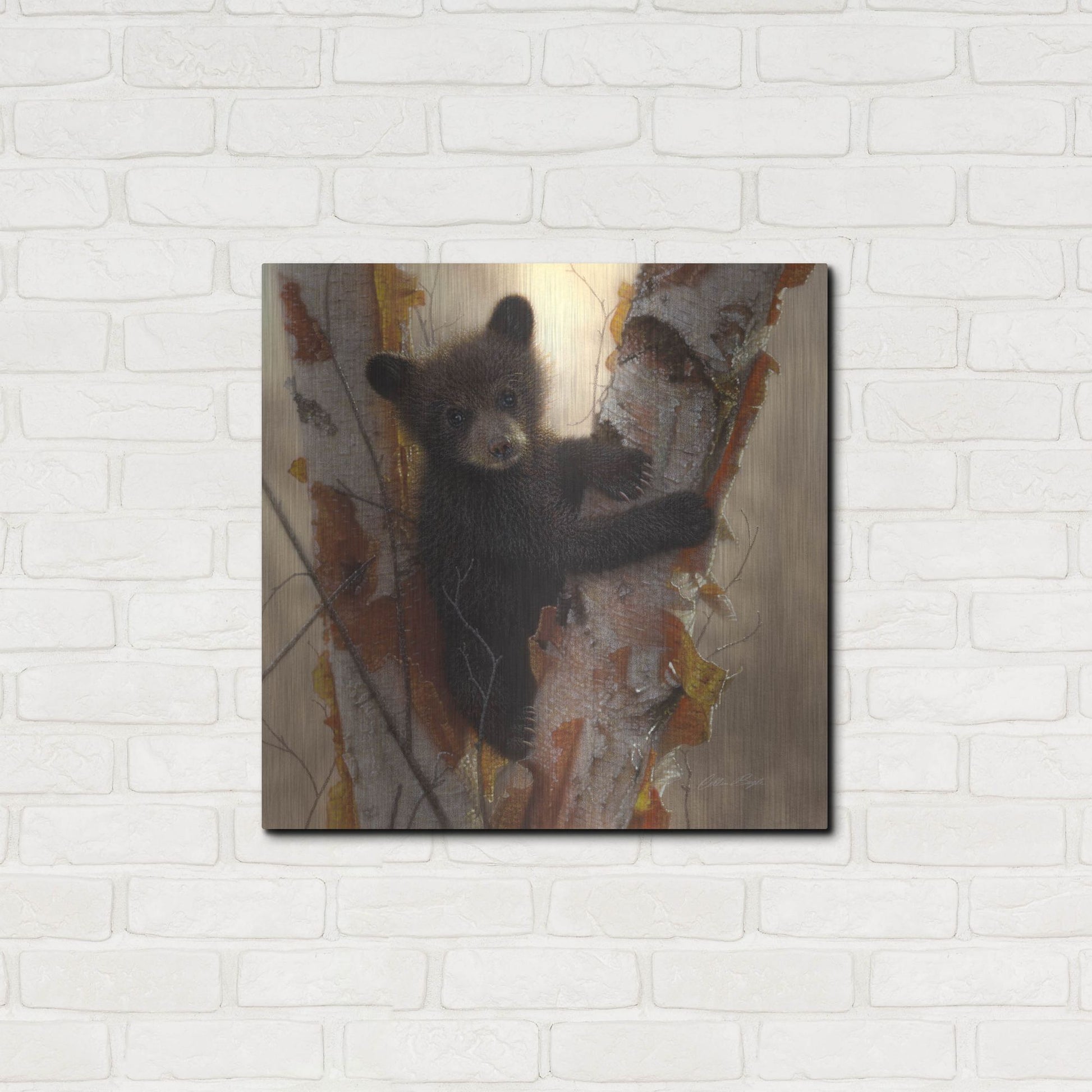 Luxe Metal Art 'Curious Cub I' by Collin Bogle, Metal Wall Art,24x24