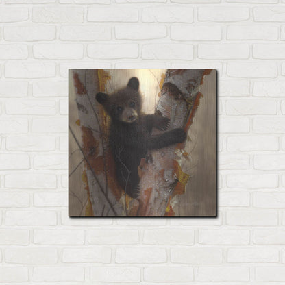 Luxe Metal Art 'Curious Cub I' by Collin Bogle, Metal Wall Art,24x24