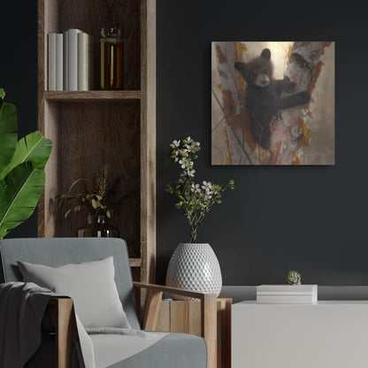 Luxe Metal Art 'Curious Cub I' by Collin Bogle, Metal Wall Art,24x24