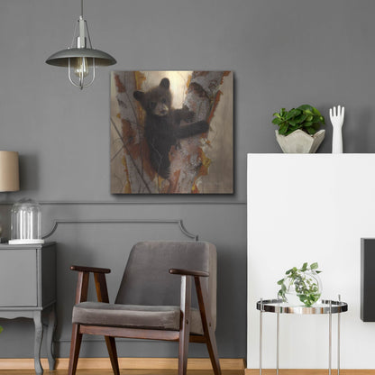 Luxe Metal Art 'Curious Cub I' by Collin Bogle, Metal Wall Art,24x24