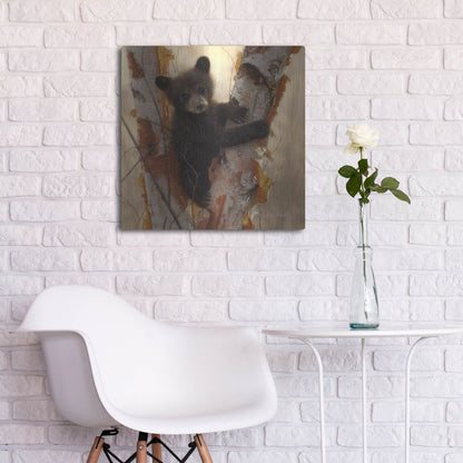 Luxe Metal Art 'Curious Cub I' by Collin Bogle, Metal Wall Art,24x24