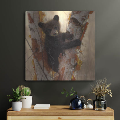 Luxe Metal Art 'Curious Cub I' by Collin Bogle, Metal Wall Art,24x24