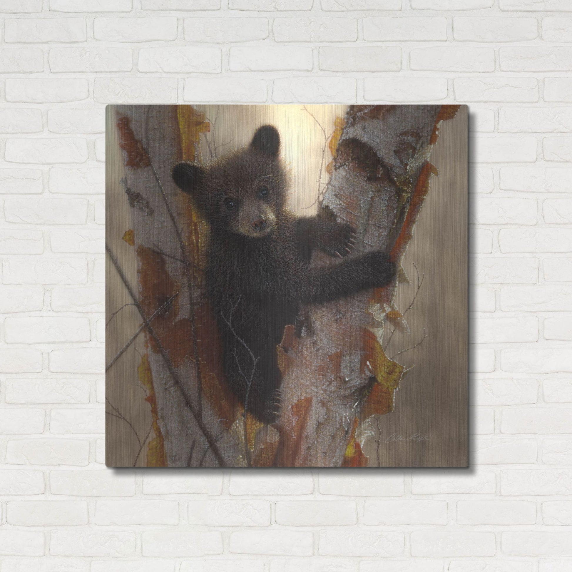 Luxe Metal Art 'Curious Cub I' by Collin Bogle, Metal Wall Art,36x36