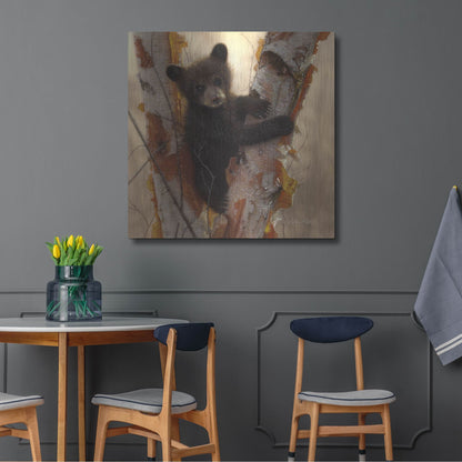 Luxe Metal Art 'Curious Cub I' by Collin Bogle, Metal Wall Art,36x36