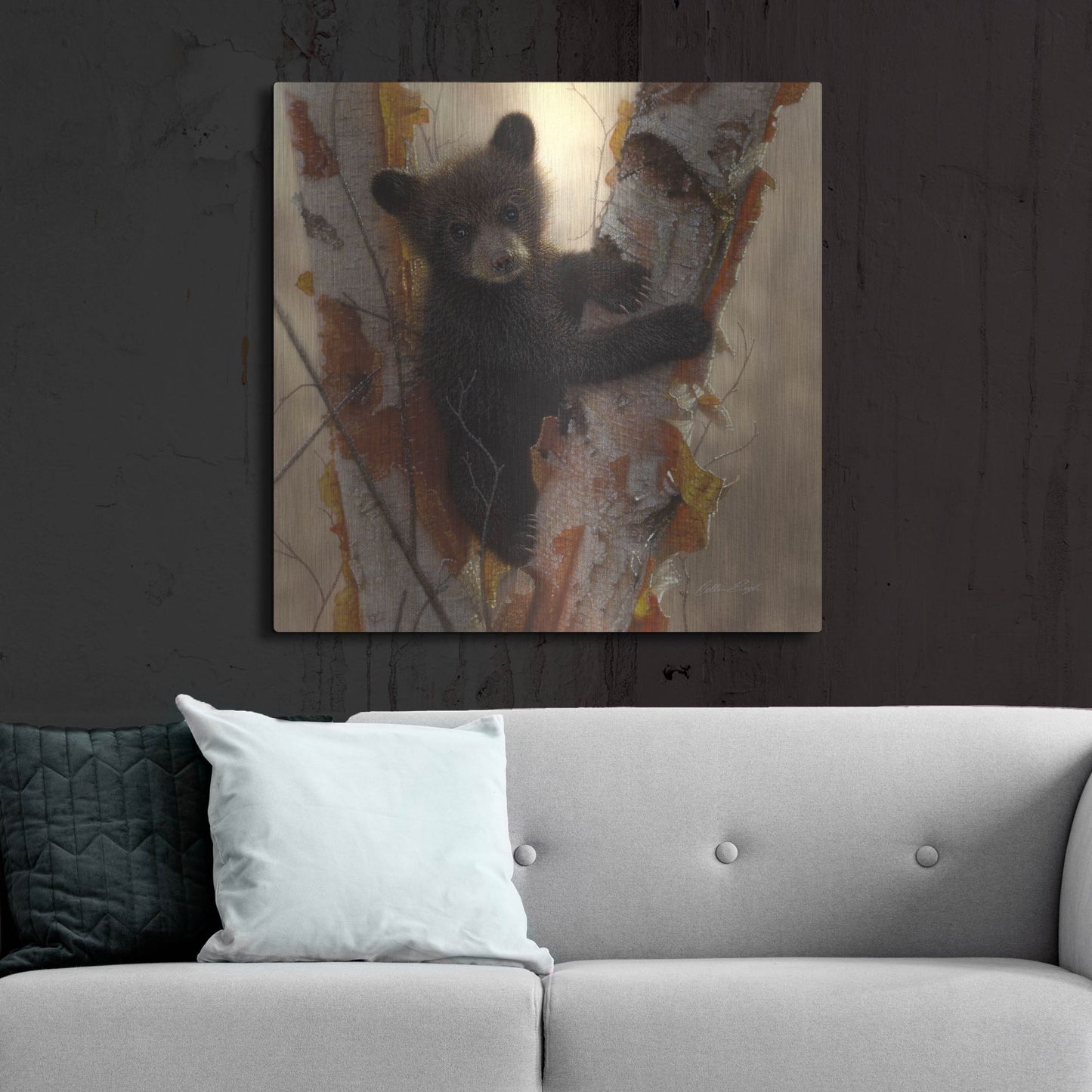 Luxe Metal Art 'Curious Cub I' by Collin Bogle, Metal Wall Art,36x36