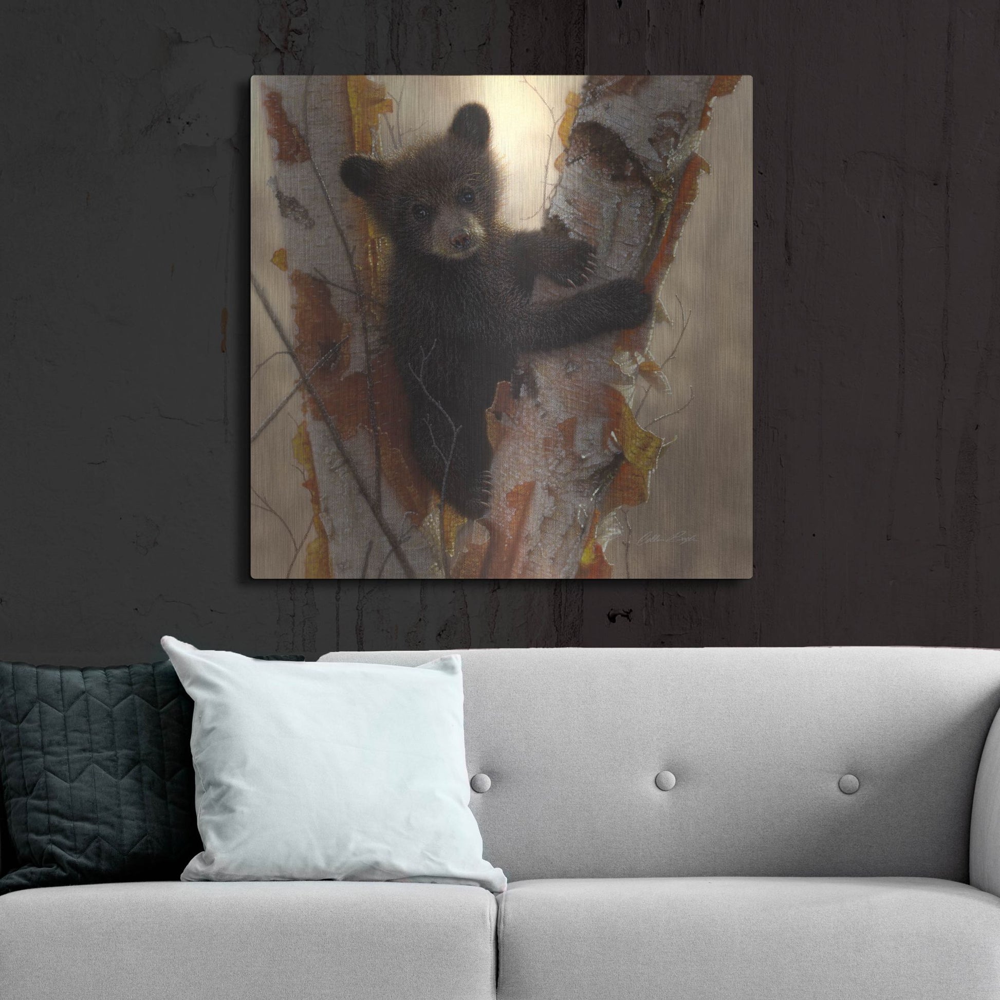 Luxe Metal Art 'Curious Cub I' by Collin Bogle, Metal Wall Art,36x36