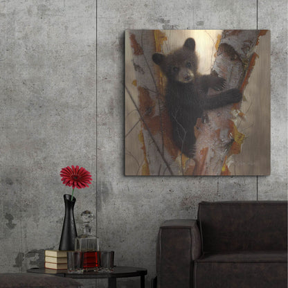 Luxe Metal Art 'Curious Cub I' by Collin Bogle, Metal Wall Art,36x36