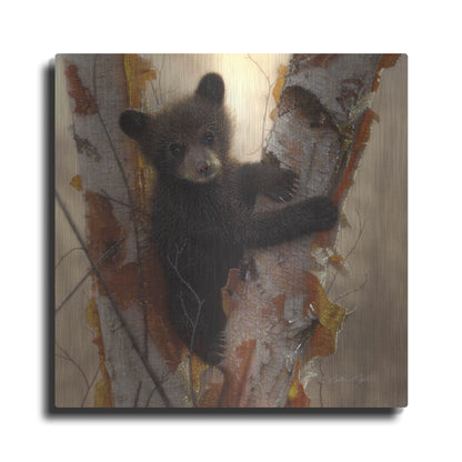 Luxe Metal Art 'Curious Cub I' by Collin Bogle, Metal Wall Art