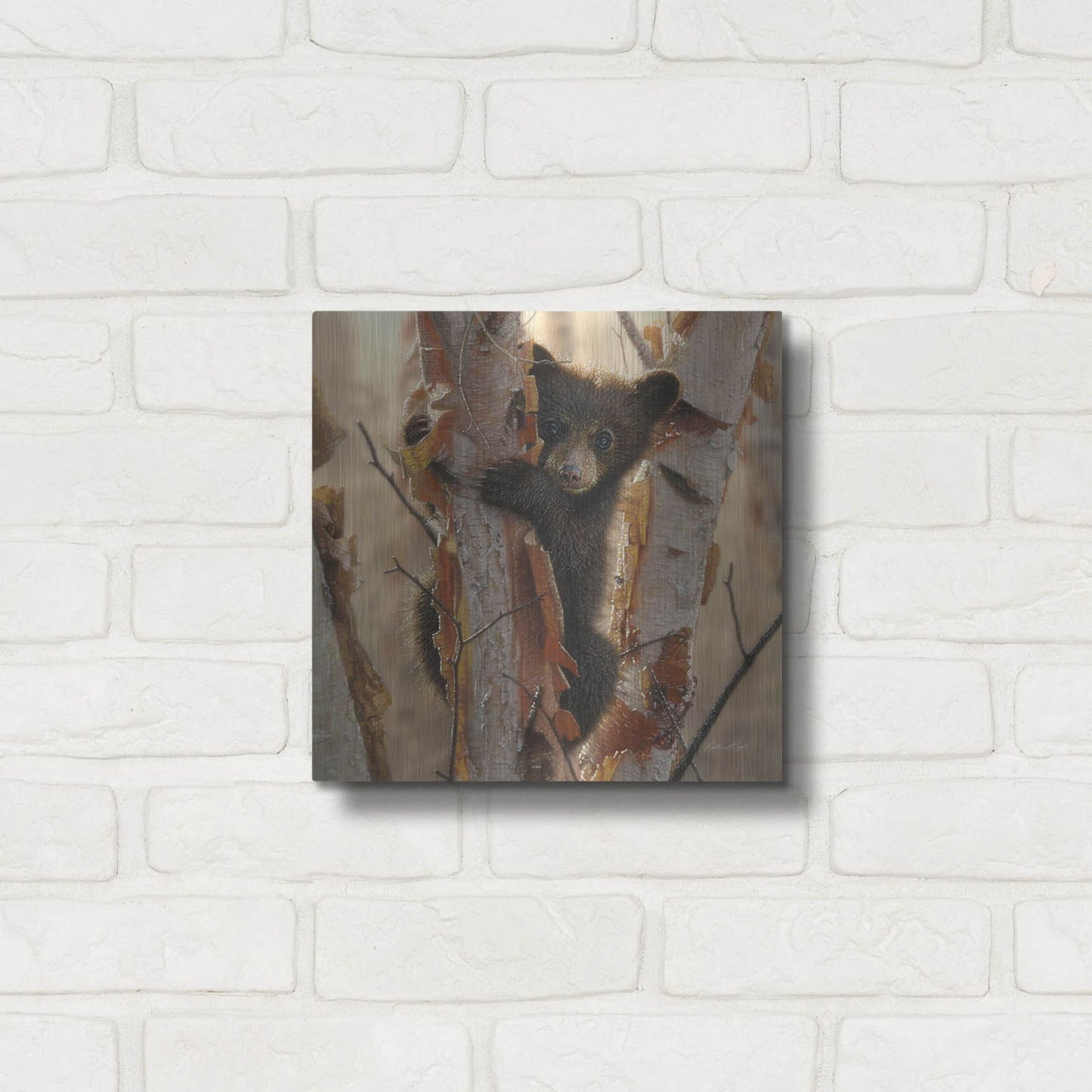 Luxe Metal Art 'Curious Cub II' by Collin Bogle, Metal Wall Art,12x12