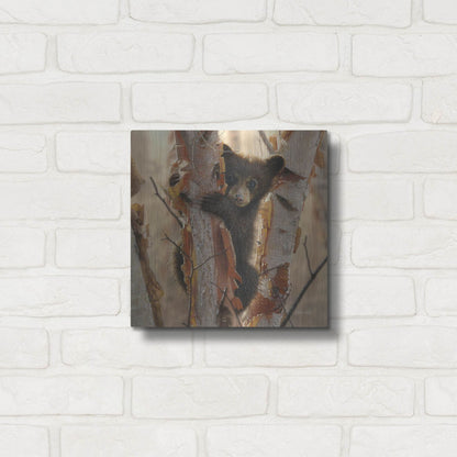 Luxe Metal Art 'Curious Cub II' by Collin Bogle, Metal Wall Art,12x12