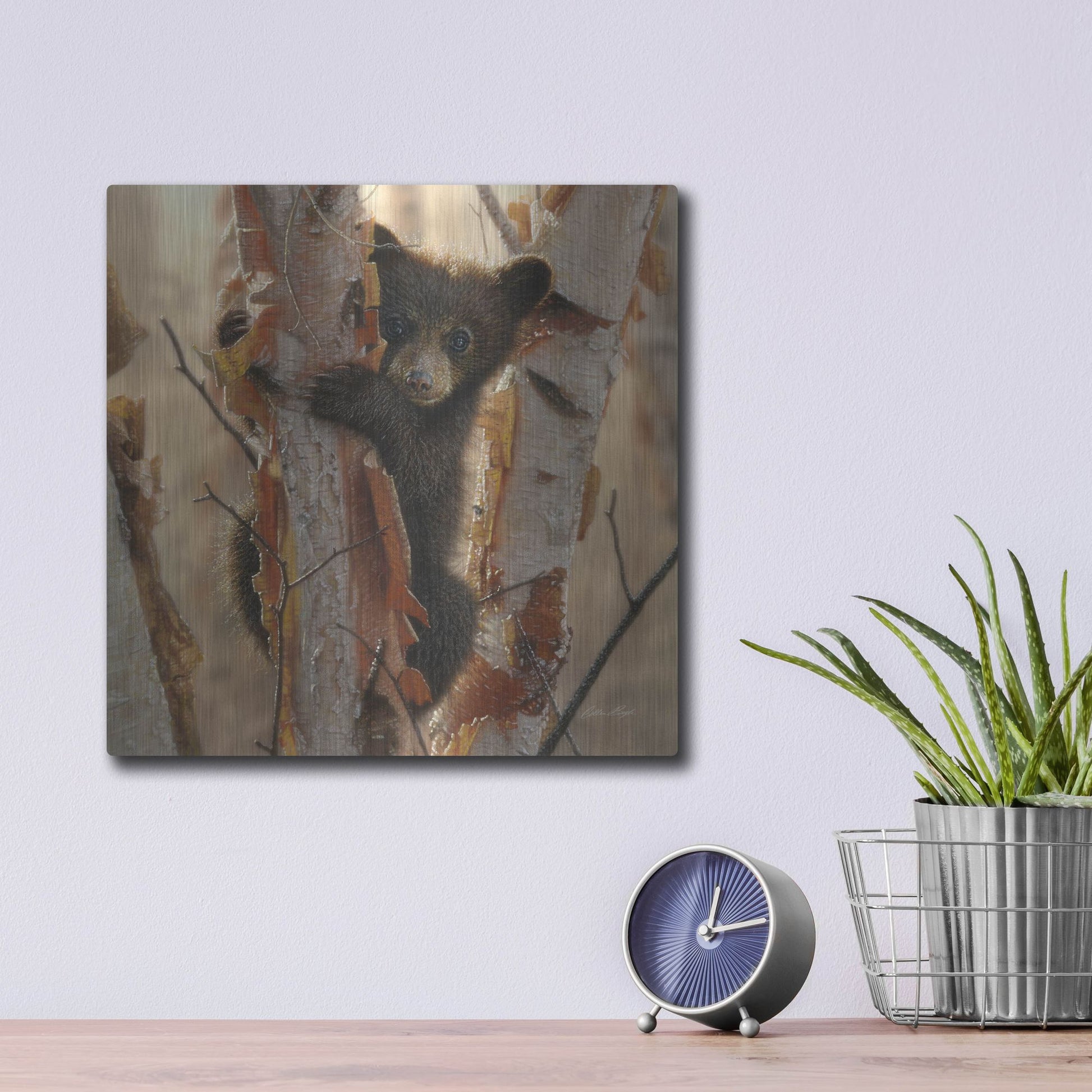 Luxe Metal Art 'Curious Cub II' by Collin Bogle, Metal Wall Art,12x12