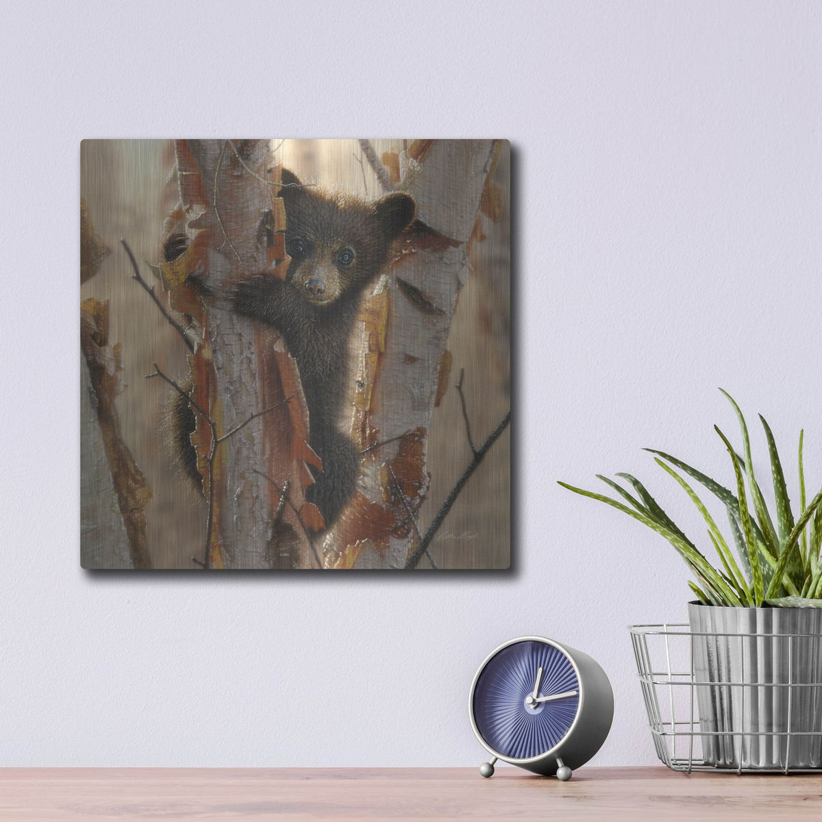 Luxe Metal Art 'Curious Cub II' by Collin Bogle, Metal Wall Art,12x12
