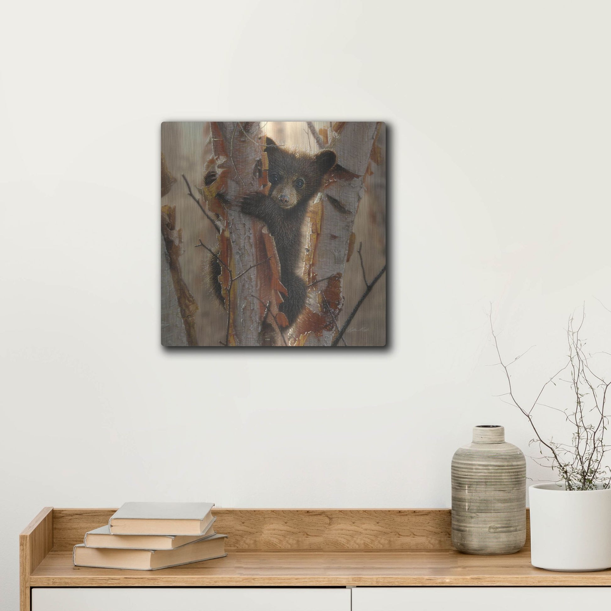 Luxe Metal Art 'Curious Cub II' by Collin Bogle, Metal Wall Art,12x12