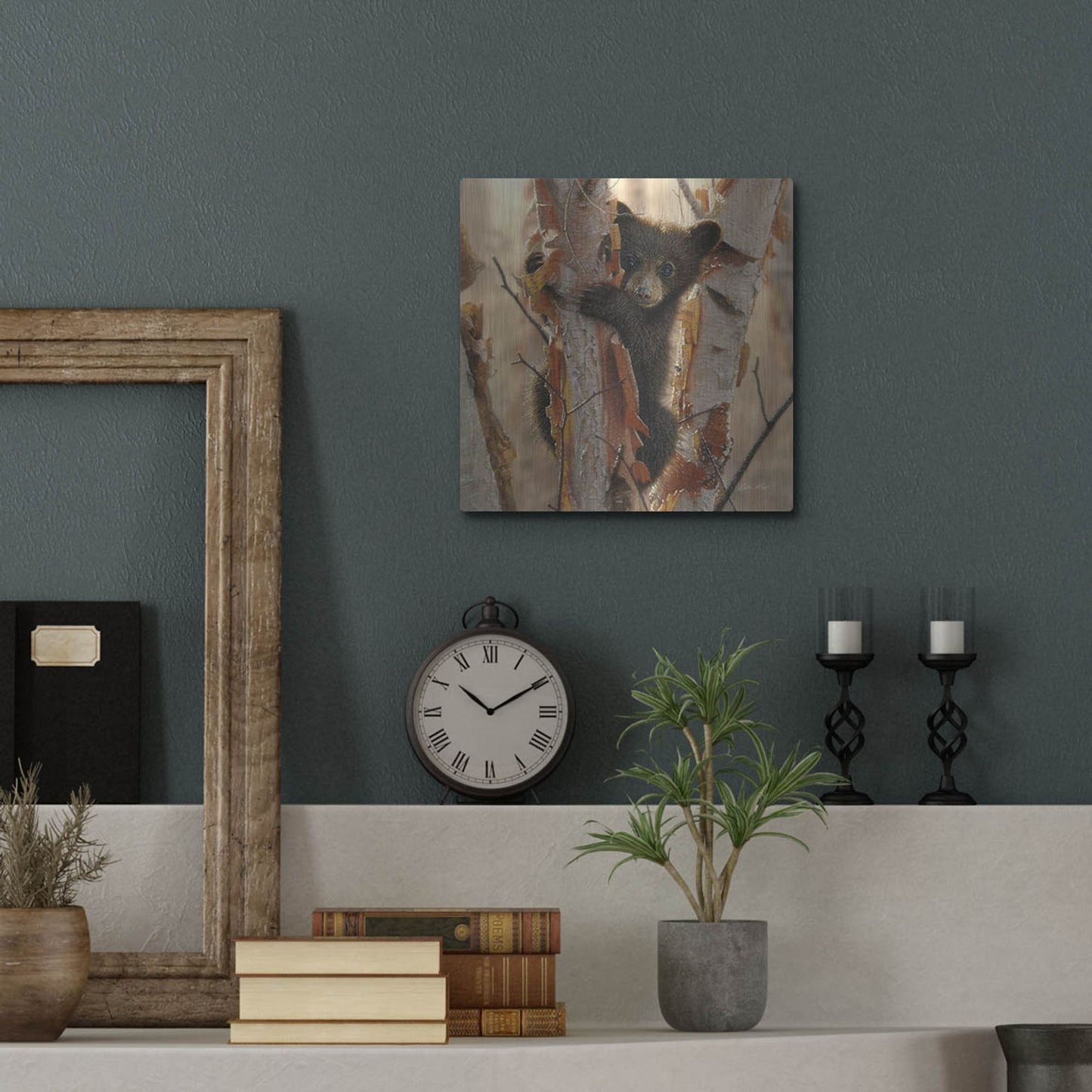 Luxe Metal Art 'Curious Cub II' by Collin Bogle, Metal Wall Art,12x12