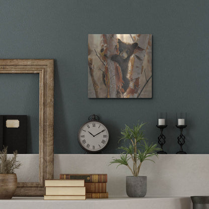 Luxe Metal Art 'Curious Cub II' by Collin Bogle, Metal Wall Art,12x12