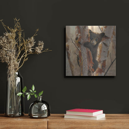 Luxe Metal Art 'Curious Cub II' by Collin Bogle, Metal Wall Art,12x12