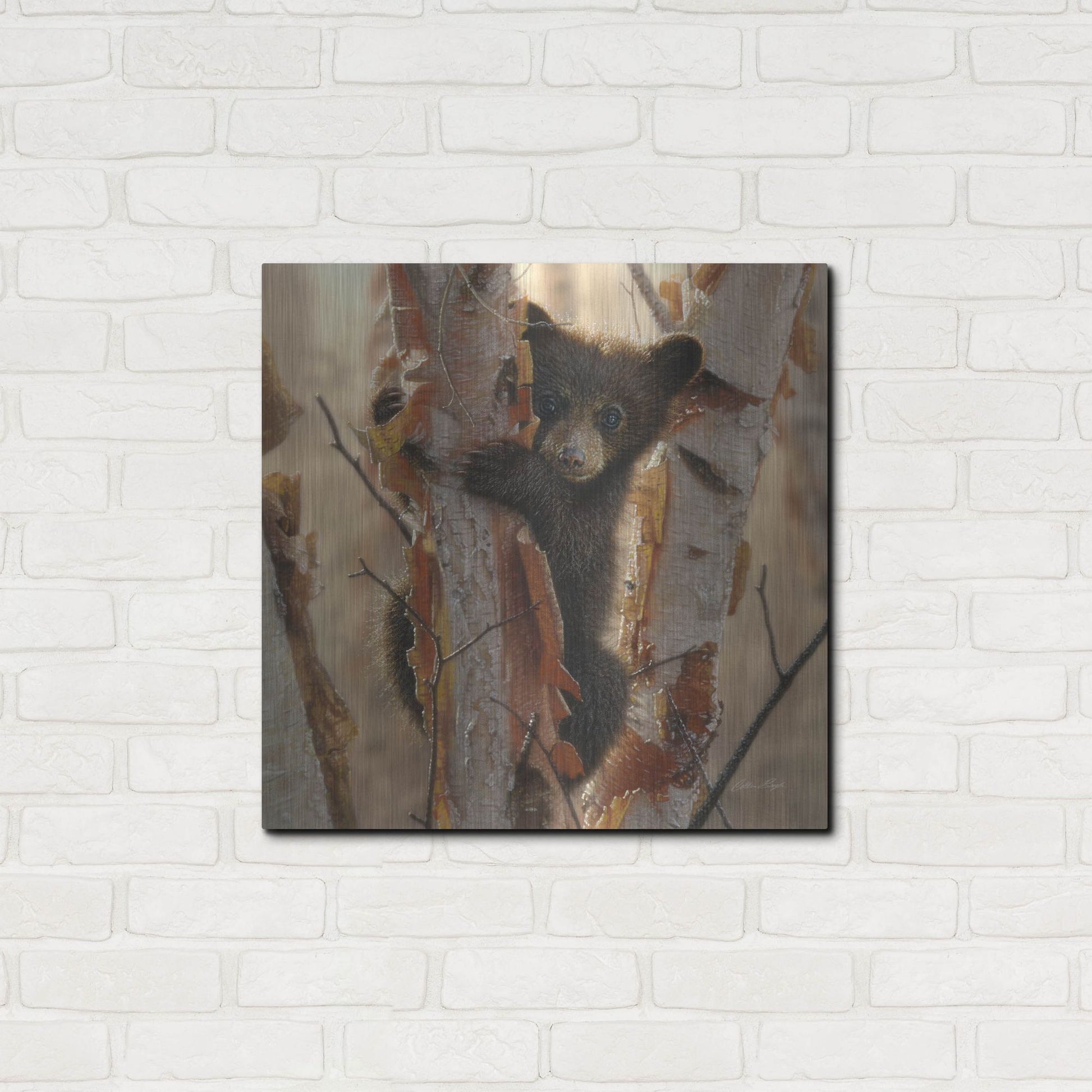 Luxe Metal Art 'Curious Cub II' by Collin Bogle, Metal Wall Art,24x24