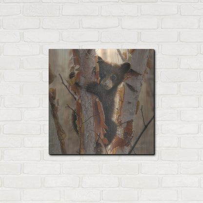 Luxe Metal Art 'Curious Cub II' by Collin Bogle, Metal Wall Art,24x24