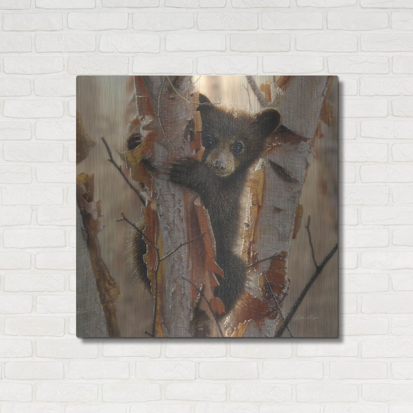 Luxe Metal Art 'Curious Cub II' by Collin Bogle, Metal Wall Art,36x36