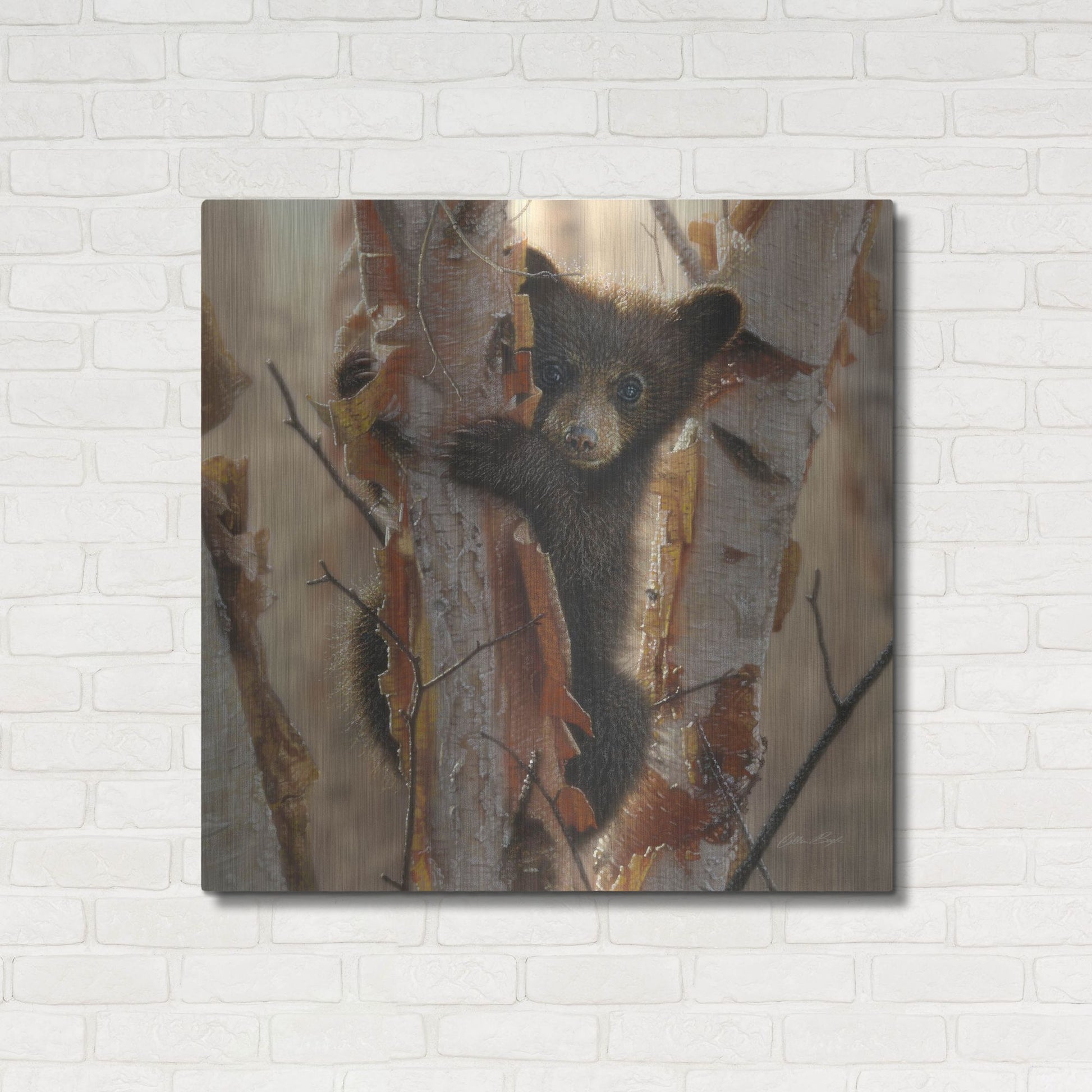 Luxe Metal Art 'Curious Cub II' by Collin Bogle, Metal Wall Art,36x36