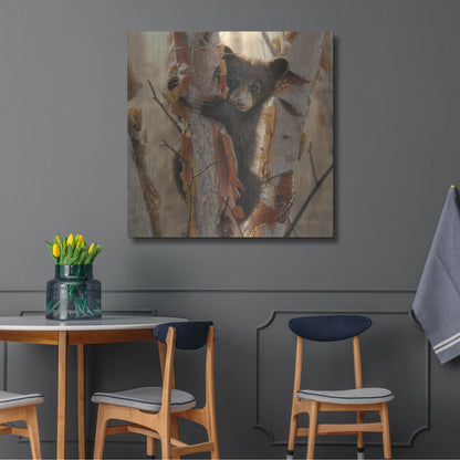 Luxe Metal Art 'Curious Cub II' by Collin Bogle, Metal Wall Art,36x36