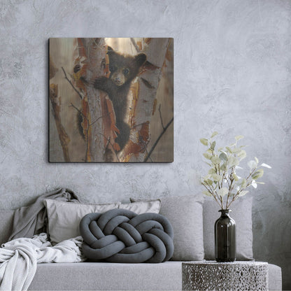 Luxe Metal Art 'Curious Cub II' by Collin Bogle, Metal Wall Art,36x36