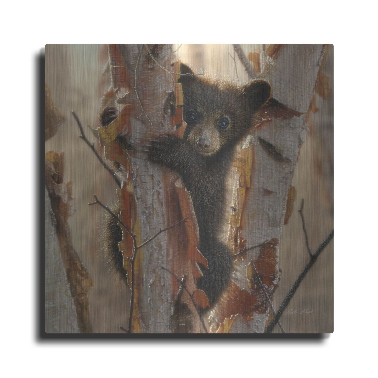 Luxe Metal Art 'Curious Cub II' by Collin Bogle, Metal Wall Art