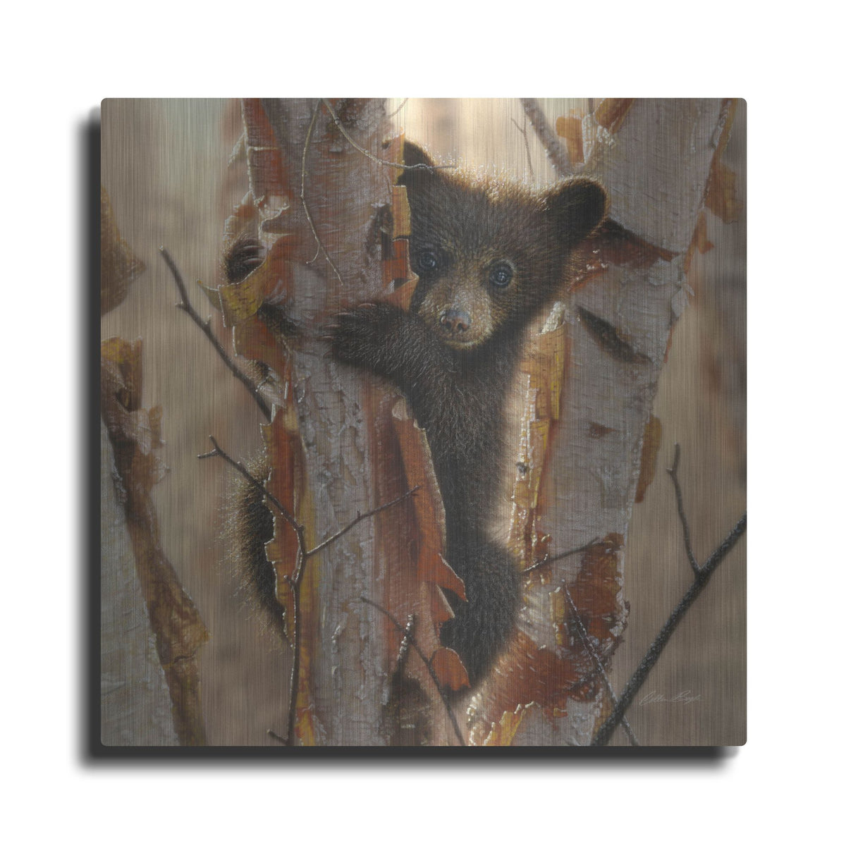 Luxe Metal Art 'Curious Cub II' by Collin Bogle, Metal Wall Art