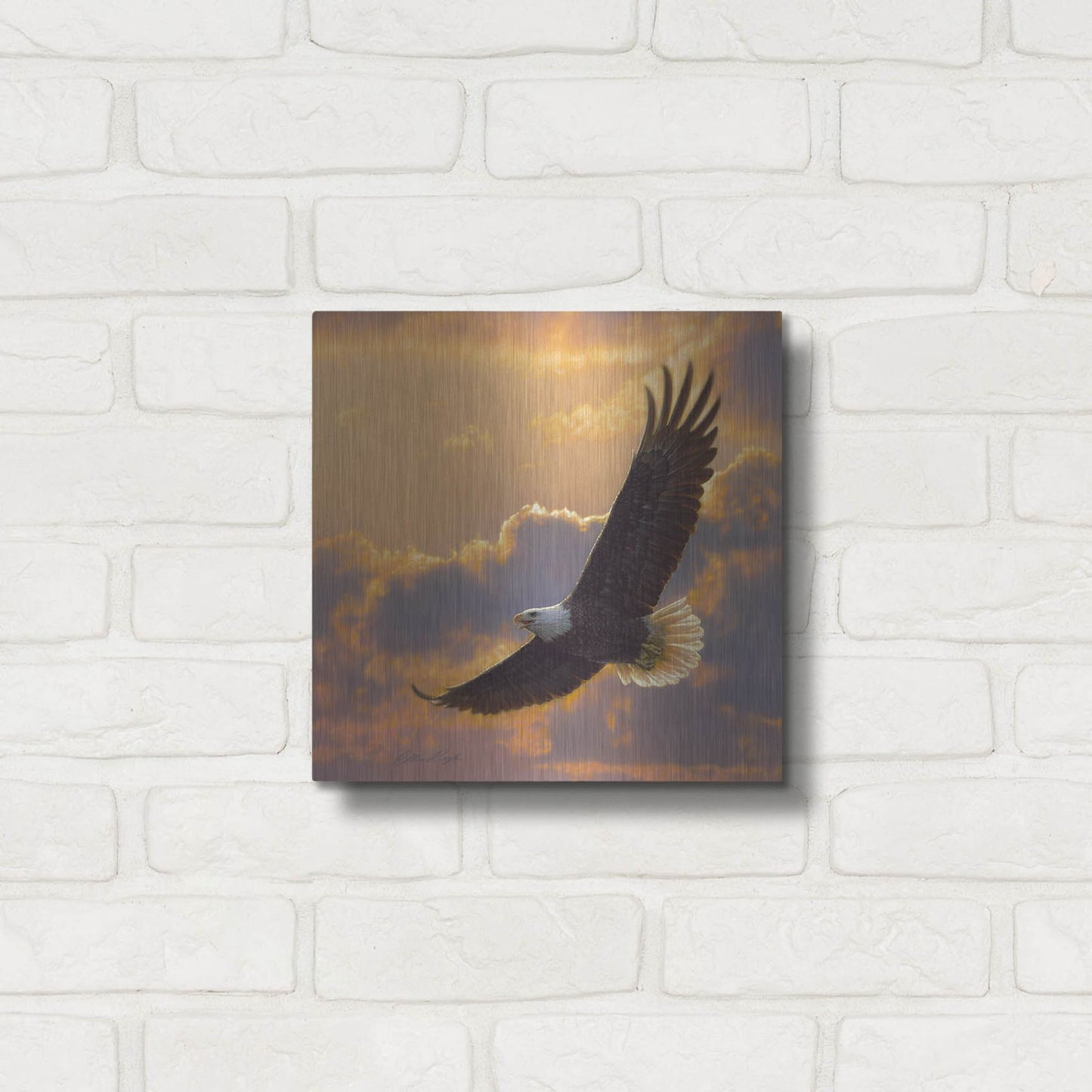Luxe Metal Art 'Soaring Spirit' by Collin Bogle, Metal Wall Art,12x12