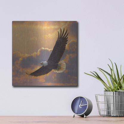 Luxe Metal Art 'Soaring Spirit' by Collin Bogle, Metal Wall Art,12x12