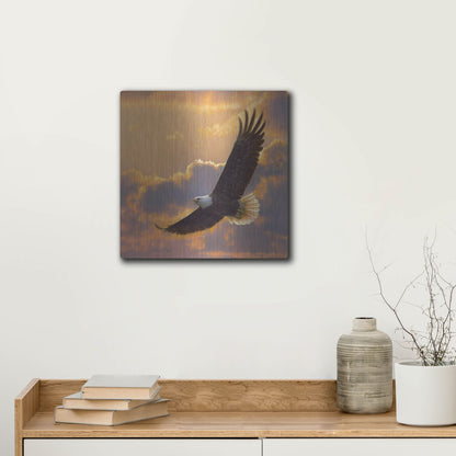 Luxe Metal Art 'Soaring Spirit' by Collin Bogle, Metal Wall Art,12x12
