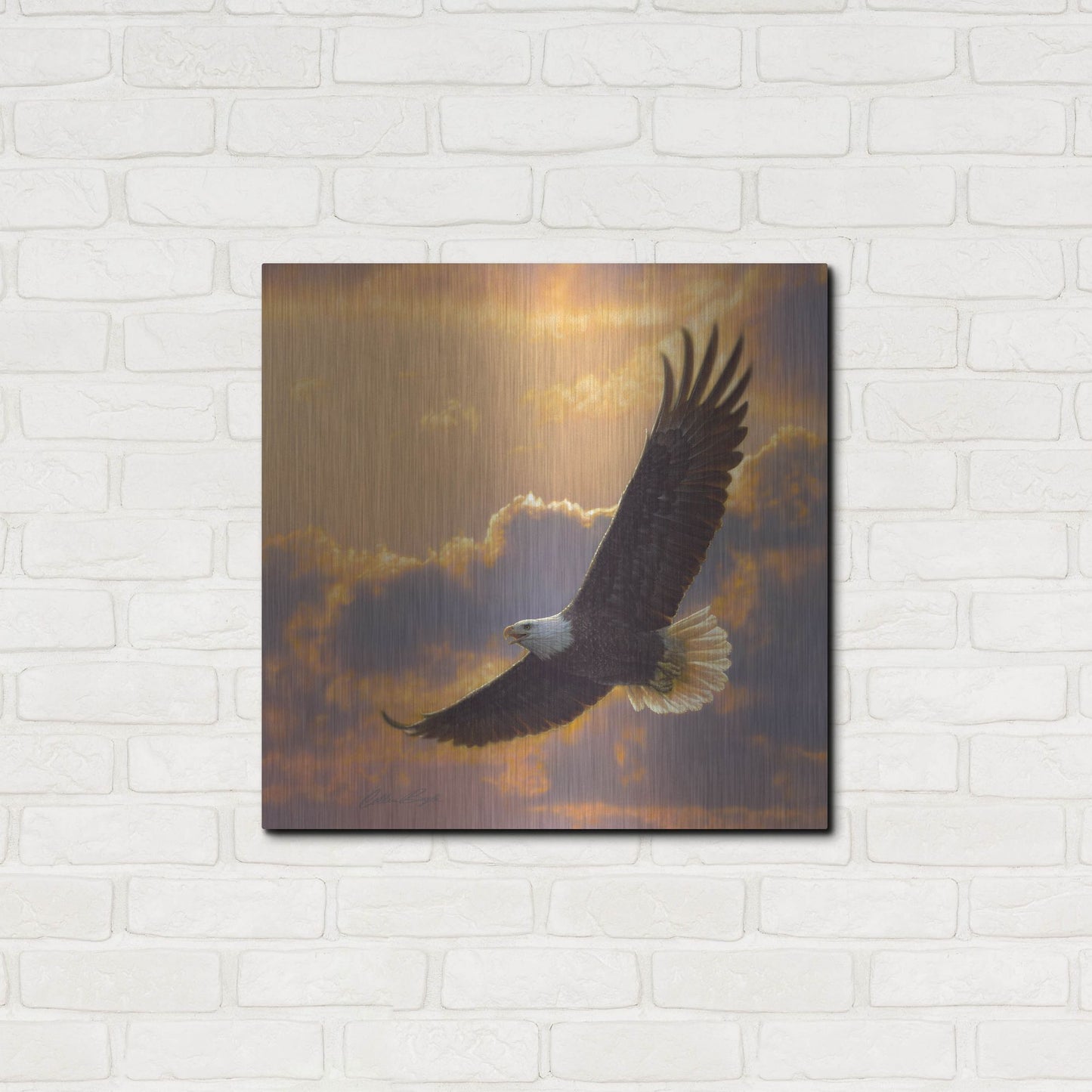 Luxe Metal Art 'Soaring Spirit' by Collin Bogle, Metal Wall Art,24x24